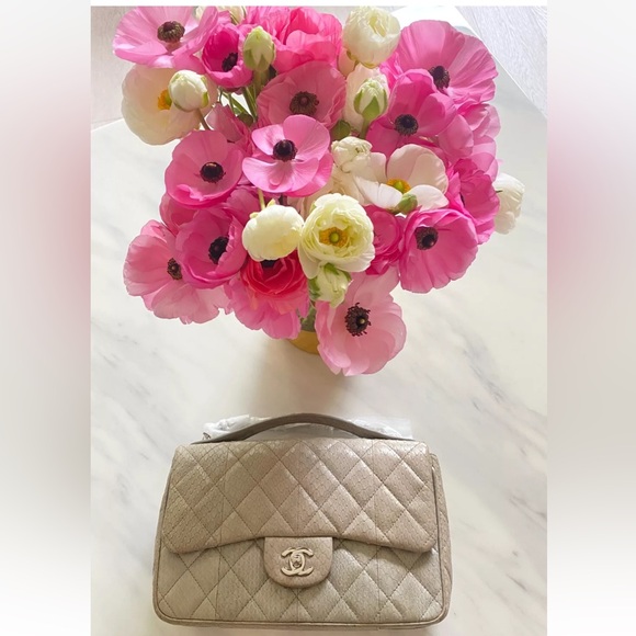 Chanel Python Flap bag - Picture 5 of 9